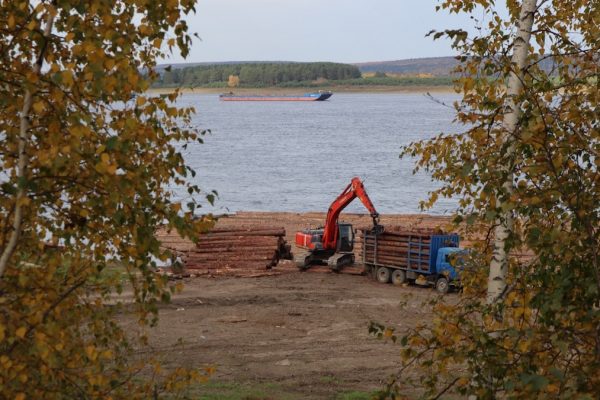 a crane is working on a pile of logs